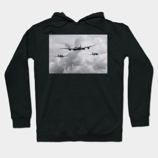 Thumper and the Fighters Hoodie